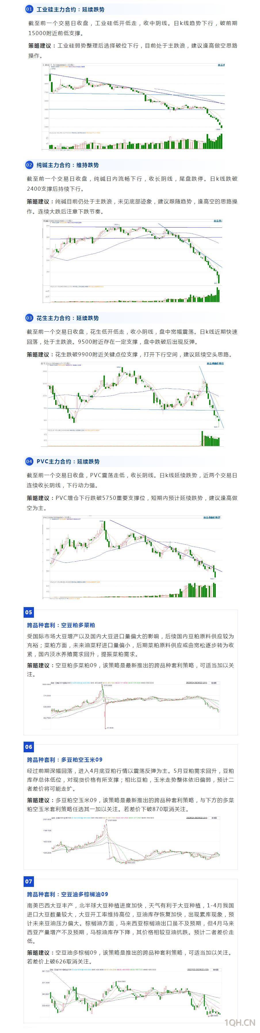 最新堿期貨市場動態分析