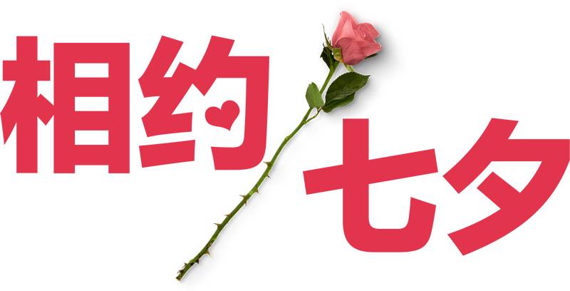 最新相親網(wǎng)站，重塑現(xiàn)代婚戀模式的橋梁