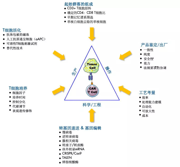 最新上海癌癥研究，挑戰與希望