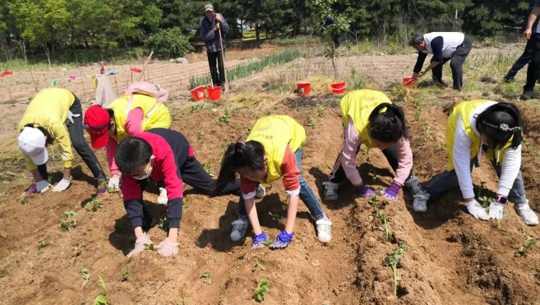 傅君臨最新動態，探索新時代的步伐與成就