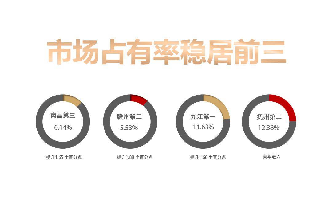 探索最新動向，關于200路的嶄新面貌與未來發展