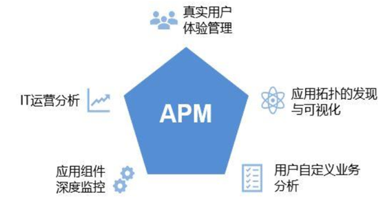 AP市場最新行情深度解析